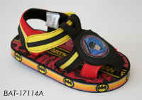 BAT17114A.JPG (248355 byte)