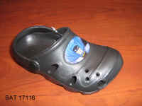 BAT17116.jpg (1199757 byte)