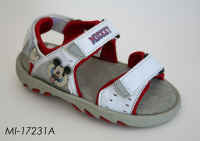 MI17231A.JPG (225558 byte)