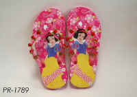 PR1789.JPG (302502 byte)