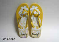 TW1793A.JPG (241875 byte)