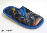 BAT9370A.JPG (148003 byte)