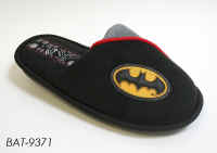 BAT9371.JPG (117970 byte)