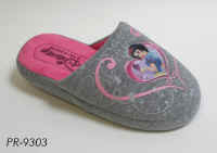 PR9303.JPG (314569 byte)