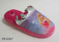 PR9307.JPG (305829 byte)