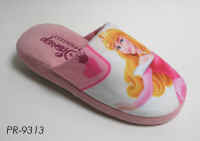 PR9313.JPG (132552 byte)