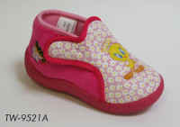 TW9521A.JPG (152886 byte)