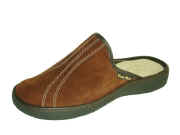 5 A 1010 Camoscio.jpg (33579 byte)