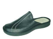 5 A 1010 Palmellato.jpg (40712 byte)