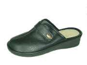 5 A 1043 Bull.jpg (35046 byte)