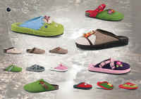 bio 01.JPG (559225 byte)