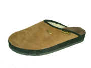 5 A 4202 Camoscio.jpg (32922 byte)