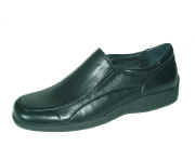 5 F 0191 Vegetale.jpg (32308 byte)